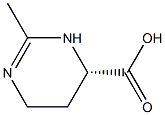 四肽结构式怎么写